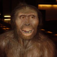 Урок онлайн. Историческое прошлое людей