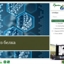 Защищено: Видео-урок. Синтез белка