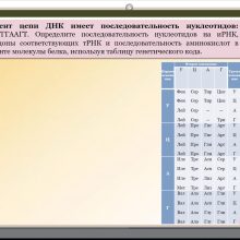 Защищено: Видео-урок. Синтез белка. Решение задач