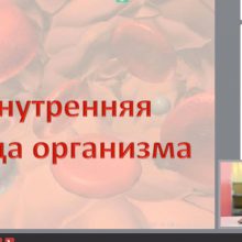 Защищено: Видео-урок. Внутренняя среда организма