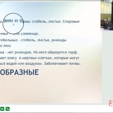 Защищено: Видео-урок.Чередование поколений у мхов