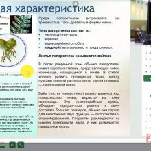 Защищено: Видео-урок. Чередование поколений у папоротников