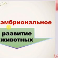 Видео-урок. Постэмбриональное развитие животных
