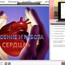 Защищено: Видео-урок. Строение и работа сердца
