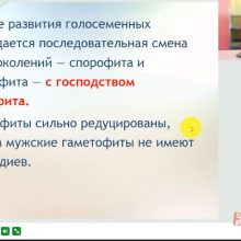 Защищено: Видео-урок. Чередование поколений у голосеменных