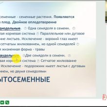 Защищено: Видео-урок. Чередование поколений у покрытосеменных