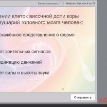 Видео-урок. Центральная нервная система