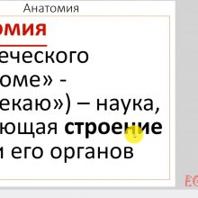 Видео-урок Науки, изучающие человека