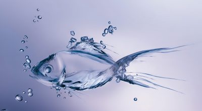 Пьют ли рыбы воду?