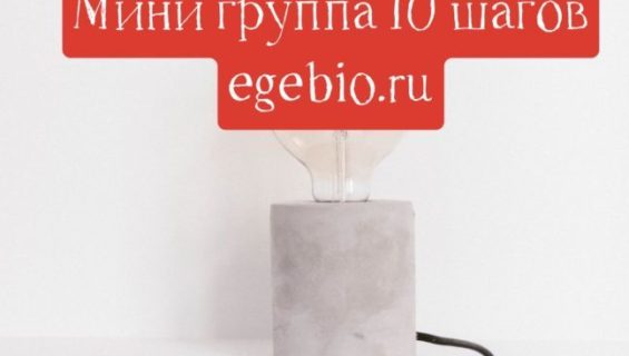 Мини-группа. Запись на 2021-2022 учебный год