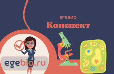 Нулевая гипотеза и отрицательный контроль
