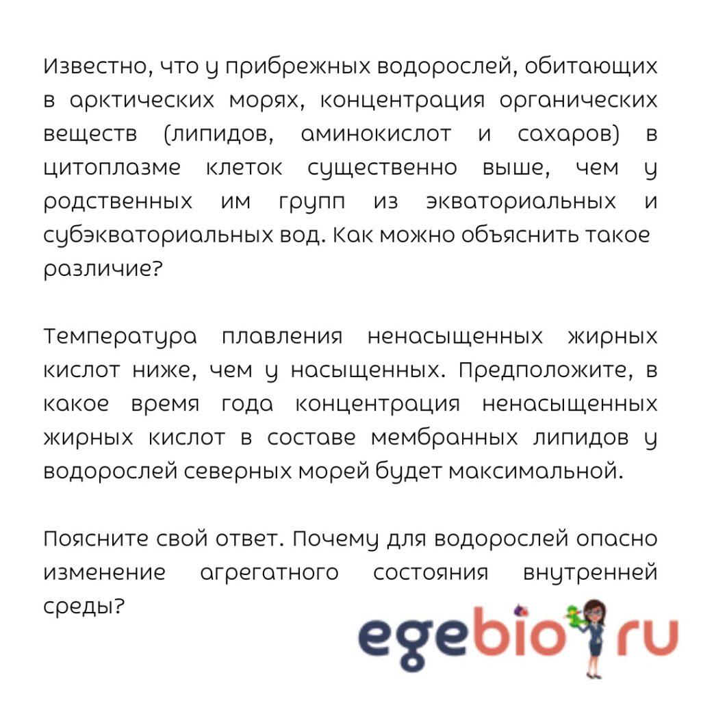 водоросли | EGEBIORU БИОЛОГИЯ ЕГЭ| Елена Шишловская
