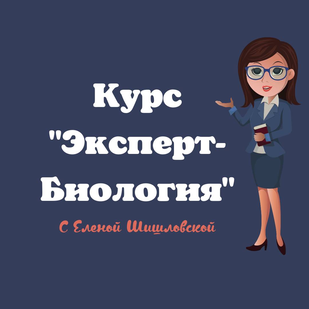 Курс Эксперт Биология – УРОКИ БИОЛОГИИ ОНЛАЙН| Елена Шишловская