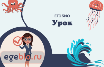 Может ли жить дафния в дистиллированной воде?