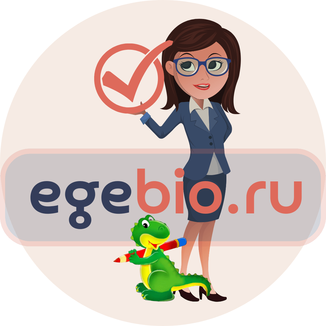 УРОКИ БИОЛОГИИ ОНЛАЙН| Елена Шишловская