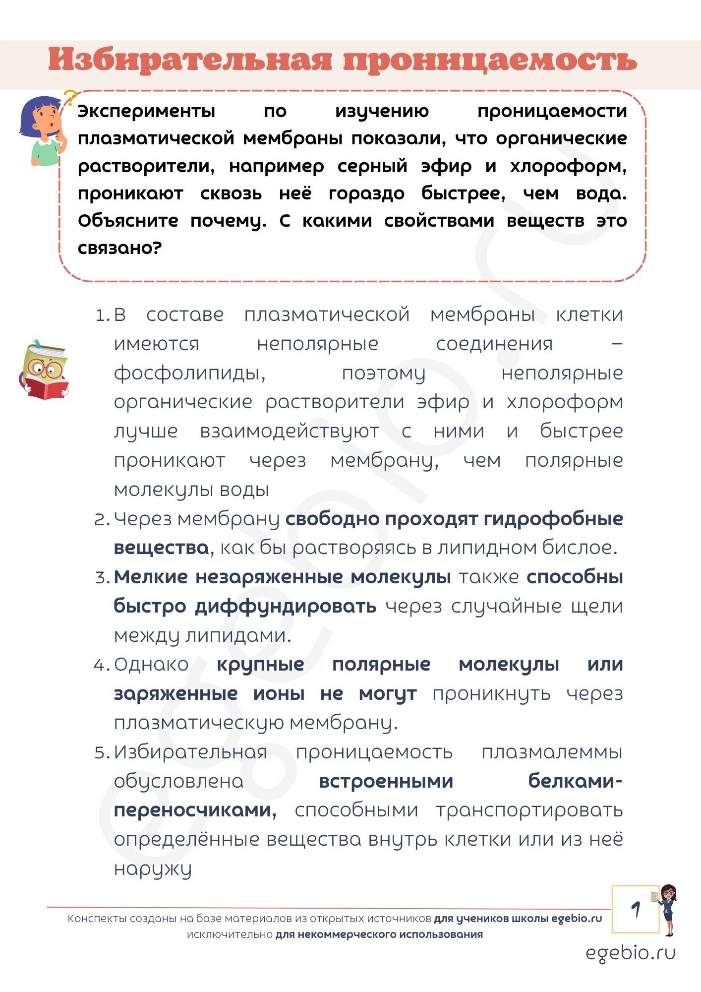 Клеточная мембрана. Интерактивный конспект – УРОКИ БИОЛОГИИ ОНЛАЙН| Елена  Шишловская